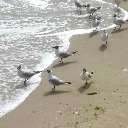 Akrotiriya Nesebar